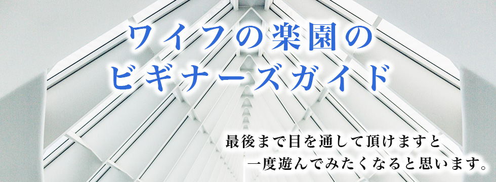 ワイフの楽園のビギナーズガイド