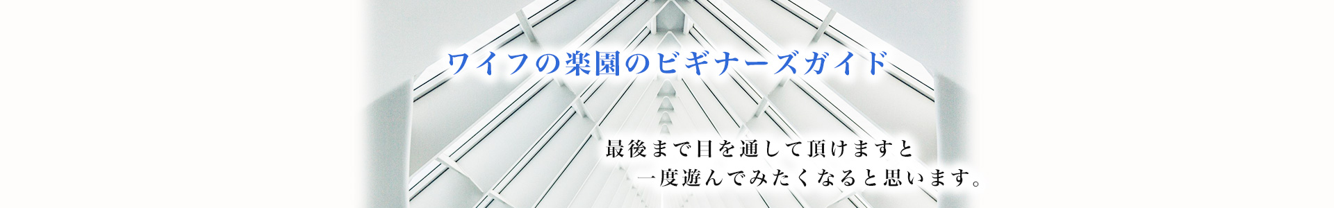 ワイフの楽園のビギナーズガイド